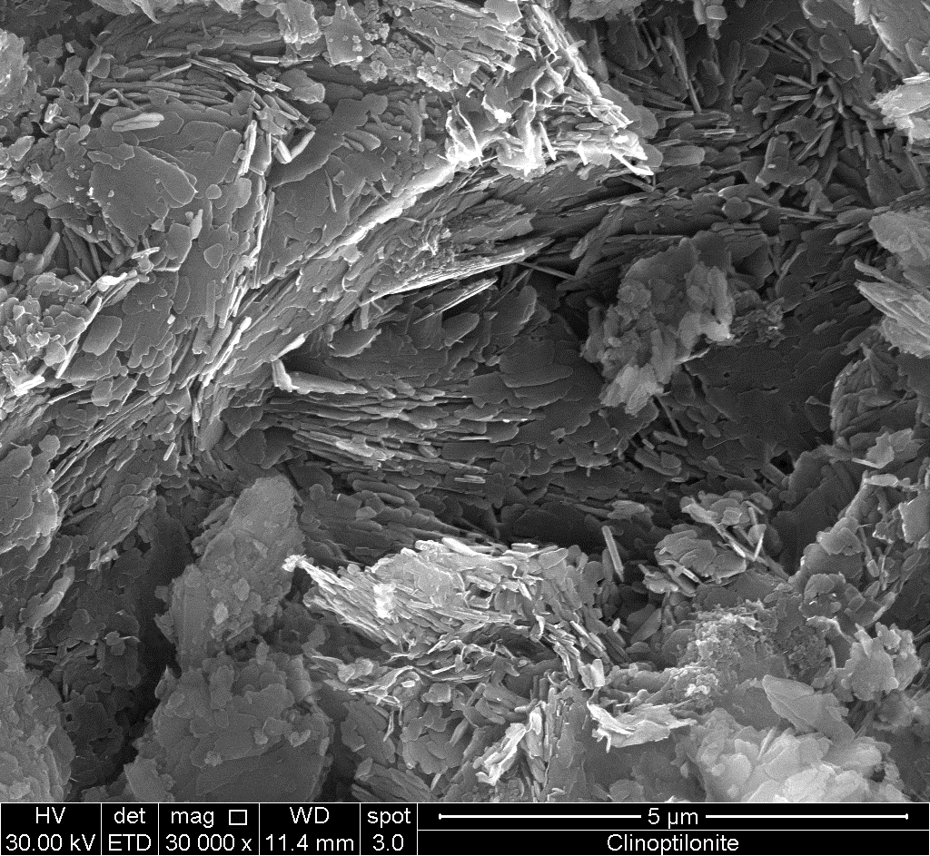 Descrizione: C:\Users\Lenovo\Downloads\Clinoptilonite_003.tif