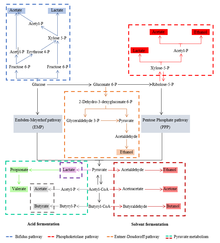 Diagram
Description automatically generated