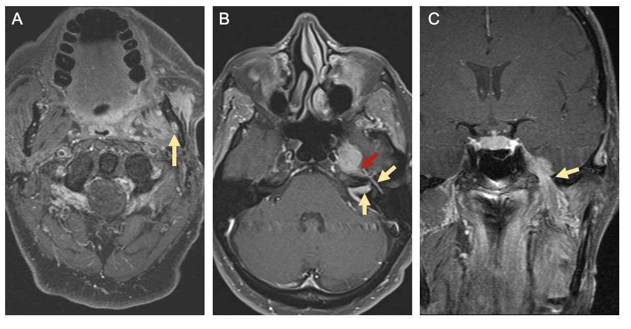 A picture containing text, different, several
Description automatically generated