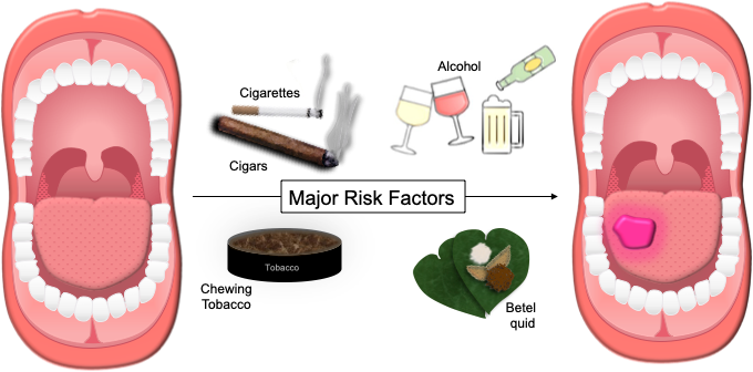 A picture containing graphical user interface
Description automatically generated