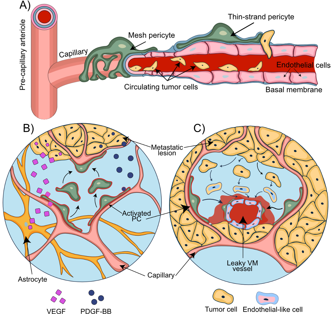 DiagramDescription automatically generated