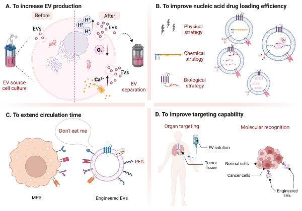 Diagram
Description automatically generated