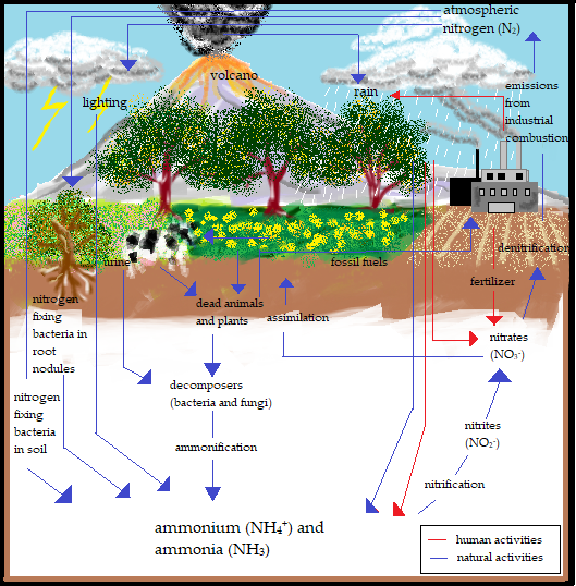 Diagram
Description automatically generated