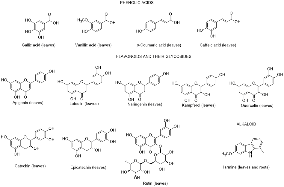 A picture containing text
Description automatically generated