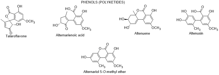 Diagram, schematic
Description automatically generated