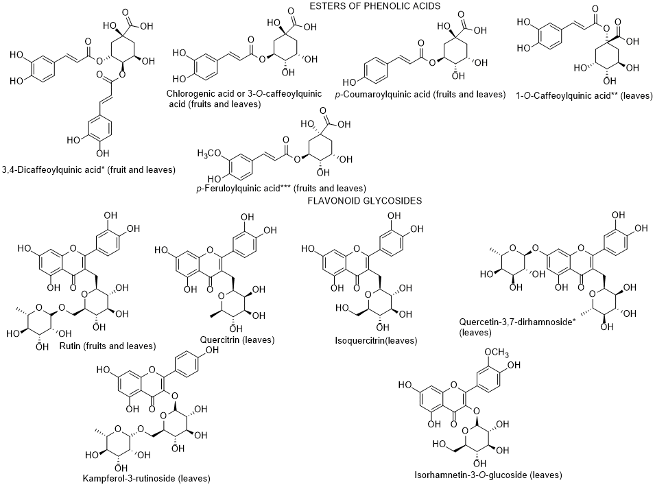 Text
Description automatically generated