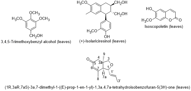 Diagram, schematic
Description automatically generated
