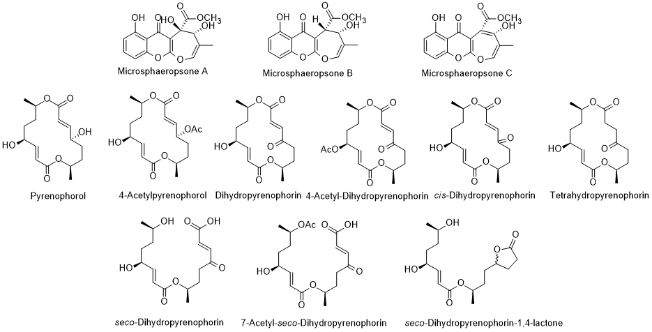 Shape
Description automatically generated