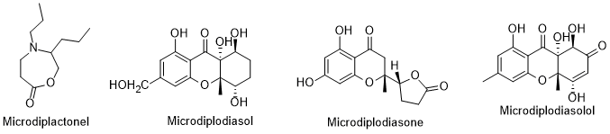 Diagram
Description automatically generated