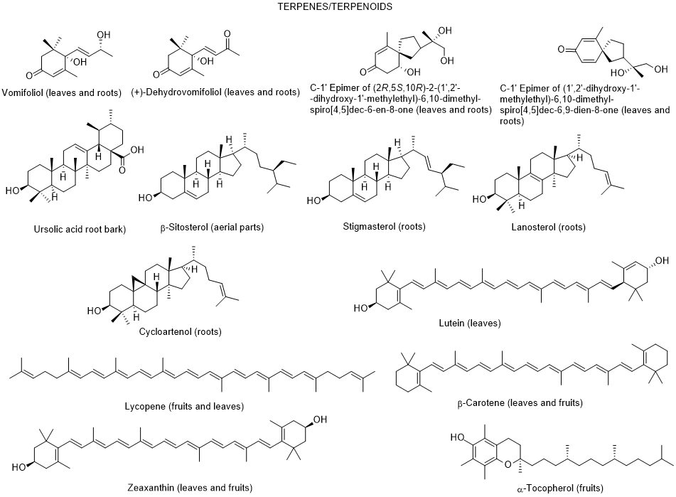 Text
Description automatically generated