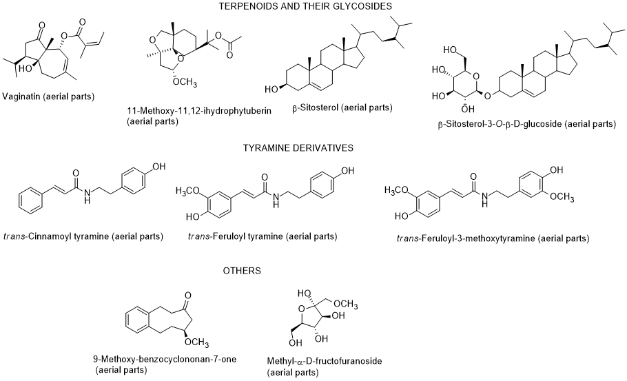 Text
Description automatically generated