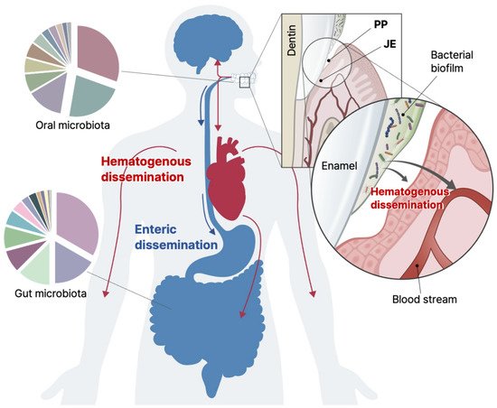 Cells 11 01079 g003 550