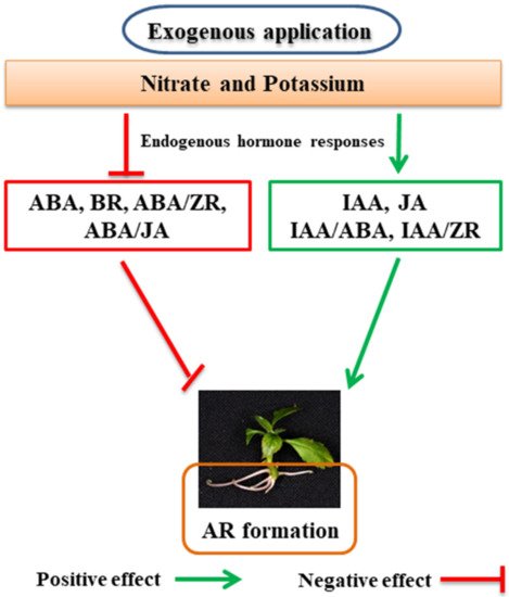 Horticulturae 08 00276 g002 550