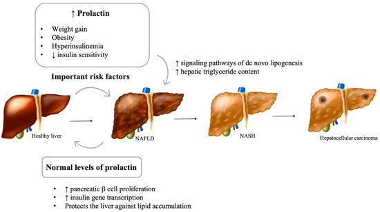 Metabolites 12 00298 g002 550