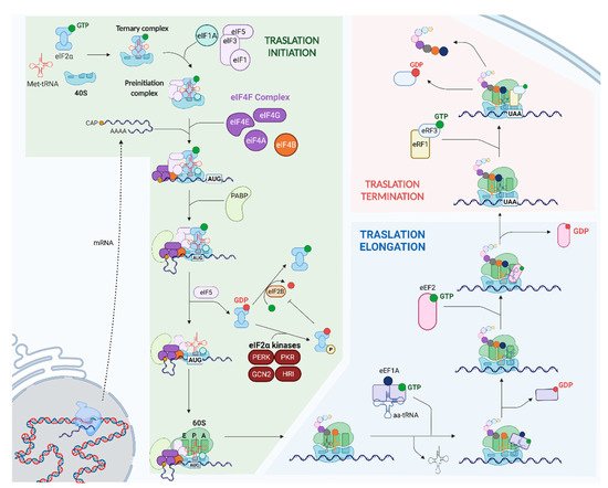 Ijms 23 03747 g001 550