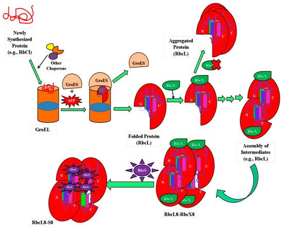 Polymers 14 01539 g002 550