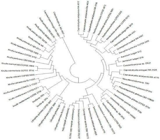 Applsci 12 03969 g003 550