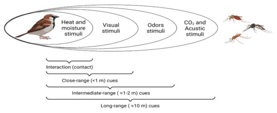 Biology 11 00726 g001 550