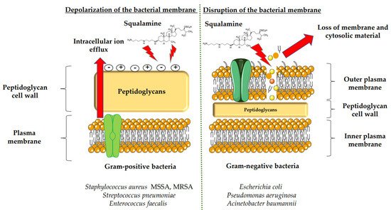 Microorganisms 10 01205 g001 550