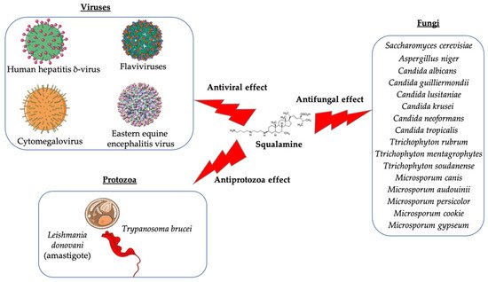 Microorganisms 10 01205 g002 550