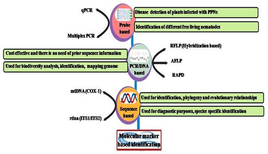 Diversity 14 00536 g003 550