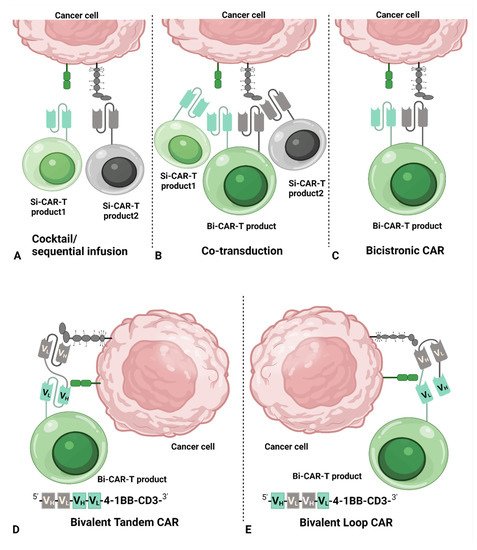 Cancers 14 03230 g001 550