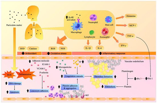 Ijerph 19 08771 g001 550