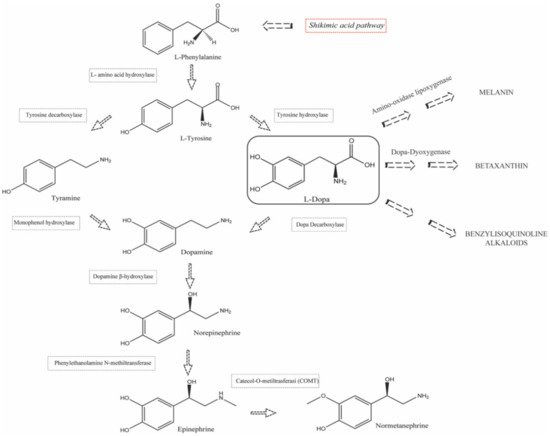 Separations 09 00224 g004 550