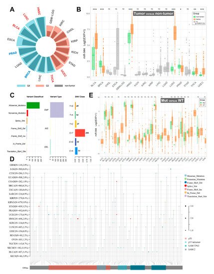 Cancers 14 04232 g001 550