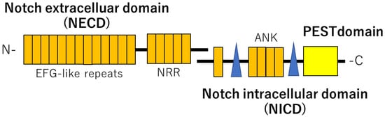 Ijms 23 11374 g001 550