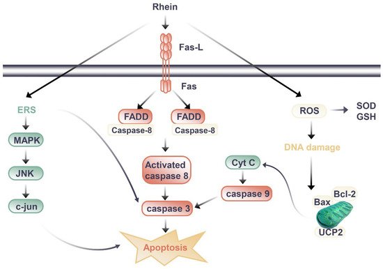 分子 27 06572 g002 550