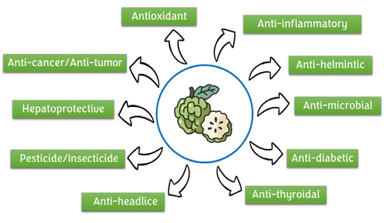Processes 10 02119 g004 550