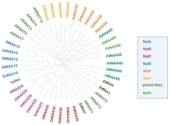 Ijms 23 14492 g002 550