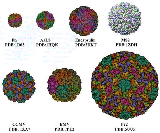 药剂学 14 02609 g001 550