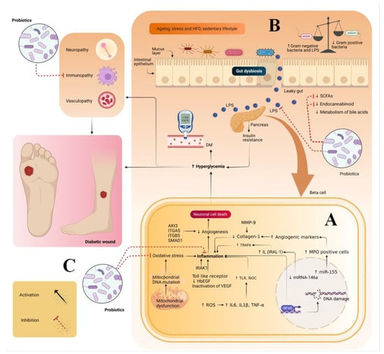 Pharmaceutics 14 02543 g001 550