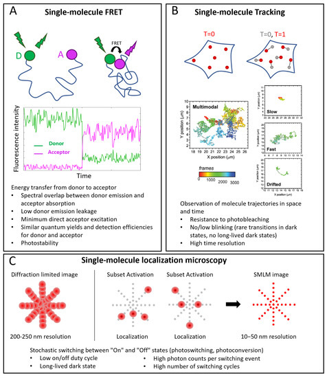 Ijms 23 14949 g002 550
