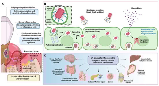 Ijms 24 00620 g001 550
