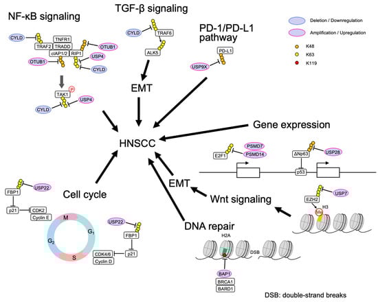 Ijms 24 00552 g002 550