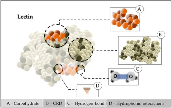 Separations 10 00036 g001 550