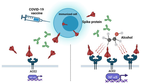Pathogens 12 00163 g001 550