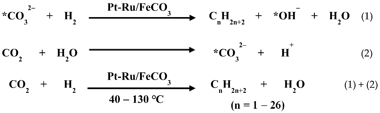 Nanomaterials 13 00565 i001