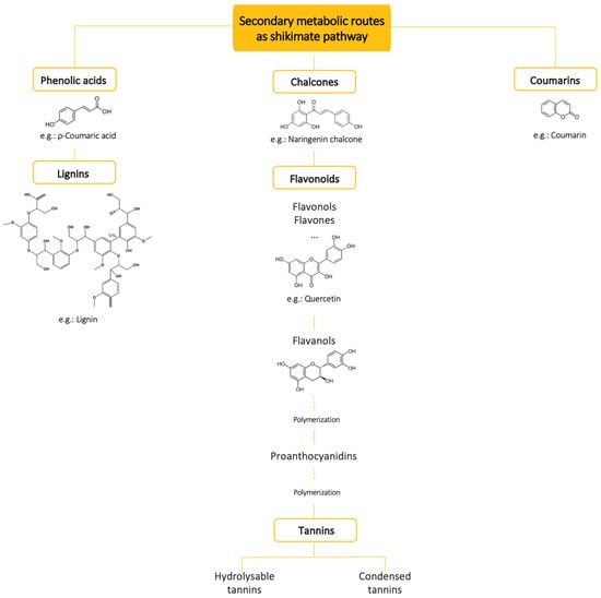 Foods 12 00840 g002 550