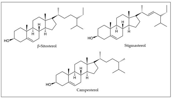 Plants 12 01536 g006 550