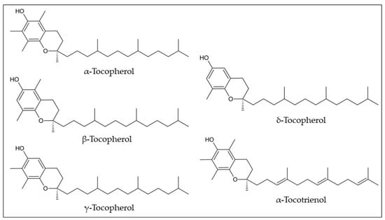 Plants 12 01536 g007 550