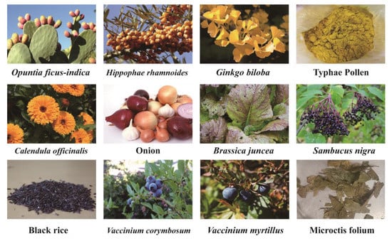 Nutrients 15 01947 g003 550