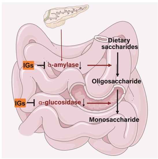 Nutrients 15 01947 g006 550