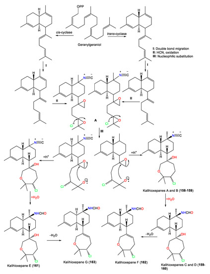 Marinedrugs 21 00257 sch002 550