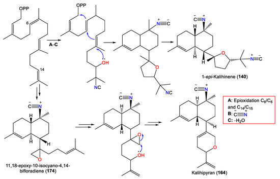 Marinedrugs 21 00257 sch003 550