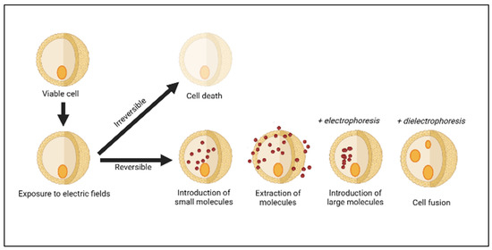 Foods 12 02114 g001 550
