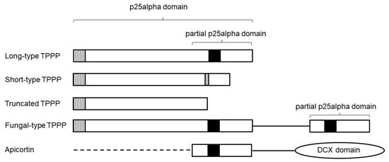 Microorganisms 11 01528 g001 550
